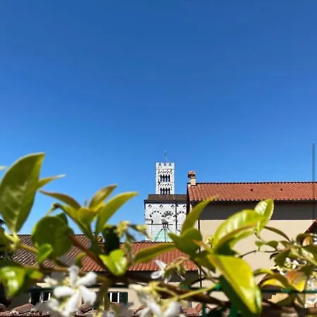 La Terrazza Di Sofia Lucca